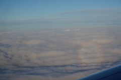 DSC09006