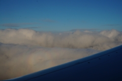 DSC09009