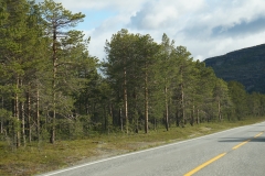 DSC09054