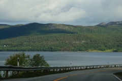 DSC09061