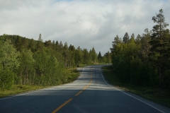 DSC09068
