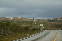 DSC09075