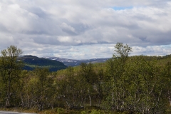 DSC09076