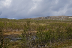 DSC09078