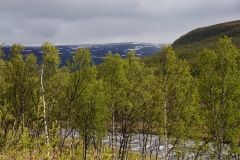 DSC09088