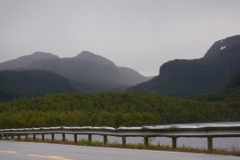 DSC09090