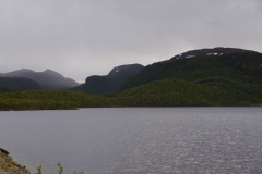 DSC09094
