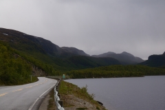 DSC09095