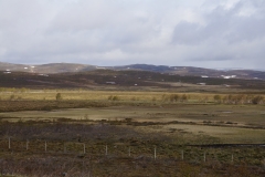 DSC09101