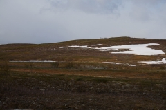 DSC09107