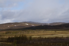 DSC09108