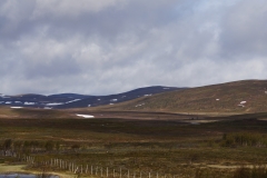 DSC09111