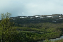 DSC09120