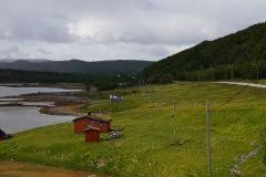 DSC09135