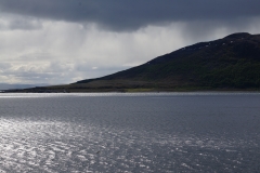 DSC09137