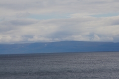 DSC09142