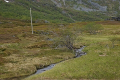 DSC09152