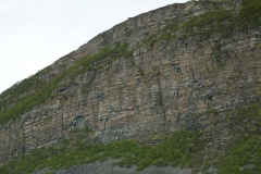 DSC09164