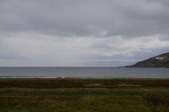 DSC09166