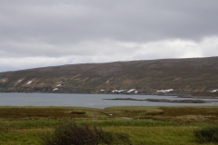 DSC09167
