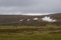 DSC09168