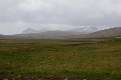 DSC09170