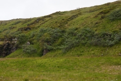 DSC09176