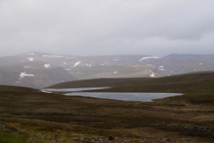 DSC09179