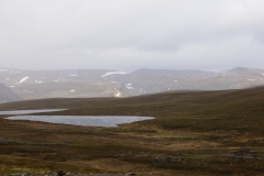 DSC09180