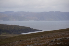 DSC09184