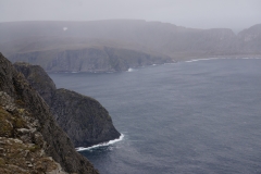 DSC09199