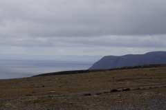 DSC09206