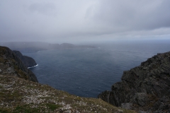 DSC09207