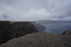DSC09228