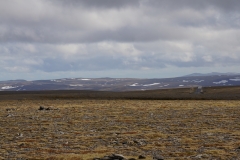 DSC09340