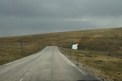 DSC09347