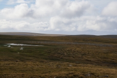 DSC09358