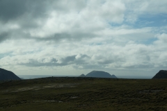 DSC09365
