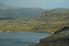 DSC09370