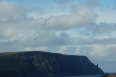 DSC09390