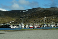 DSC09397