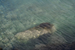 DSC09400