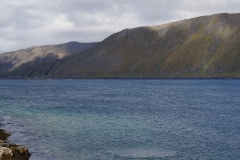 DSC09401