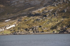 DSC09404
