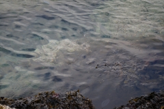 DSC09408
