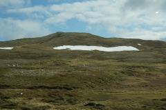 DSC09432