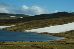 DSC09434
