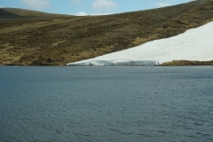 DSC09435