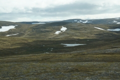 DSC09439