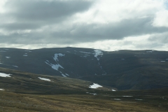 DSC09441
